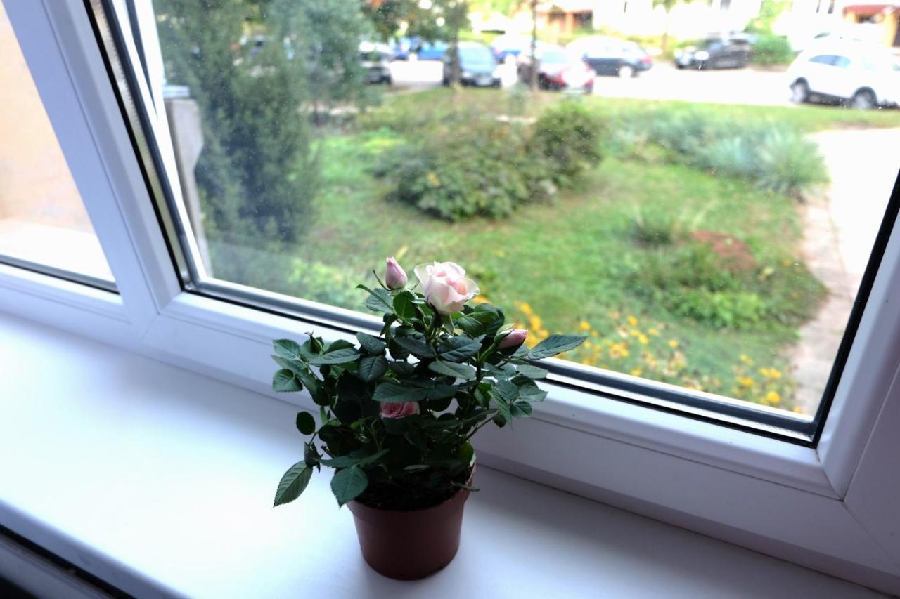 Appartement Jaukus Koko Butas 1 Aukste à Kaunas Extérieur photo